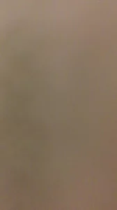 调教