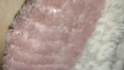 申请邀请码